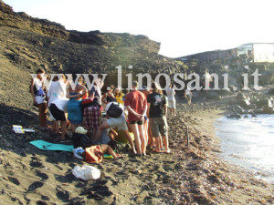 nascita tartaruga caretta caretta